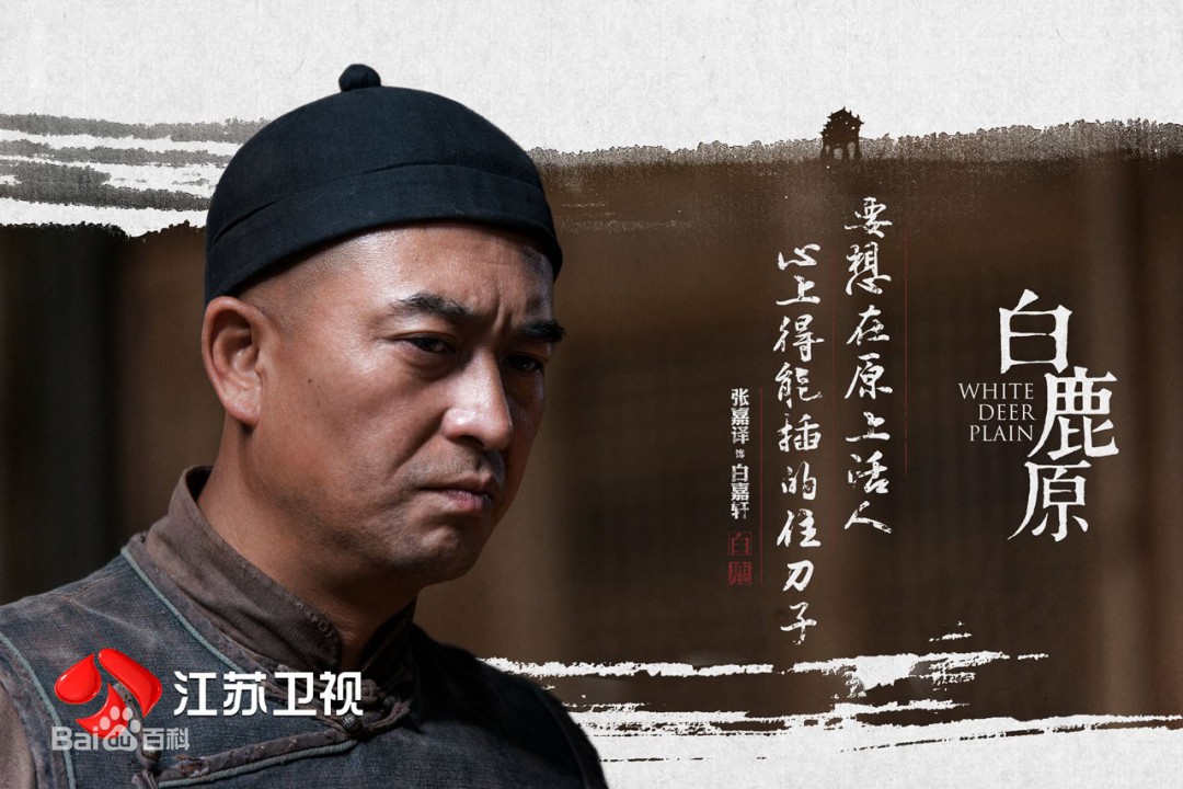 电视剧白鹿原演员表深度解析,电视剧白鹿原演员表深度解析与角色探究