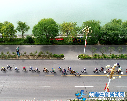 澳门正版四不像,探索与解析,澳门正版四不像,深入探索与解析