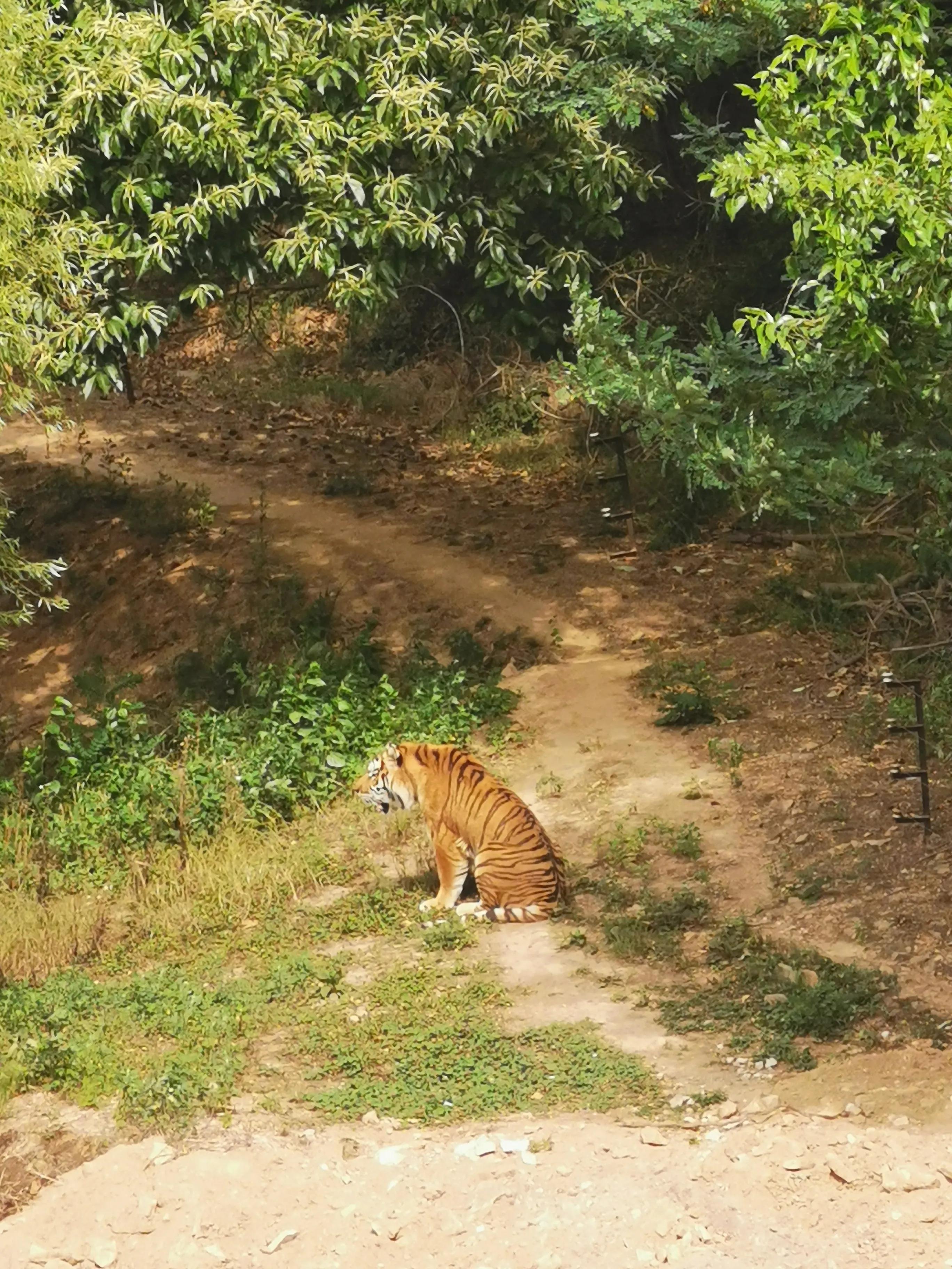青岛一日游价格表及其丰富体验,青岛一日游价格表与丰富体验之旅