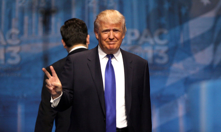 今晚澳门特马必开一肖,探索生肖与彩票的奥秘,生肖彩票揭秘,澳门特马必开一肖之夜