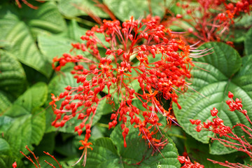 状元红97049免费资料,探索与启示,状元红97049免费资料探索,启示与深度解析