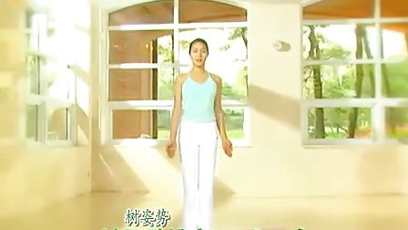 玉珠铉减肥瑜伽初级版，入门指南与体验分享，玉珠铉减肥瑜伽初级版，入门指南与心得分享