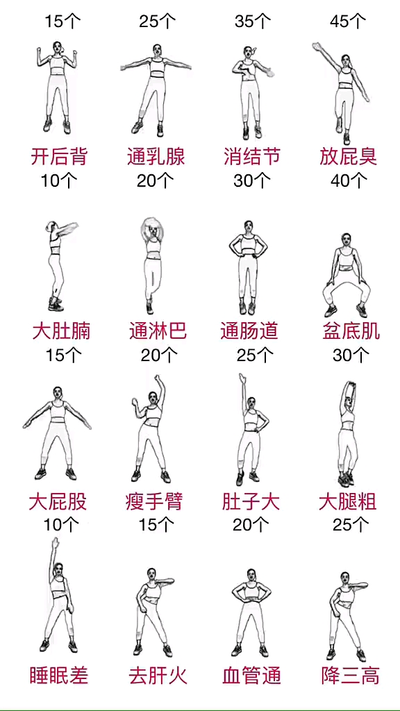 探索十六个运动基本动作的重要性与实际应用,十六个运动基本动作的重要性、实际应用探索