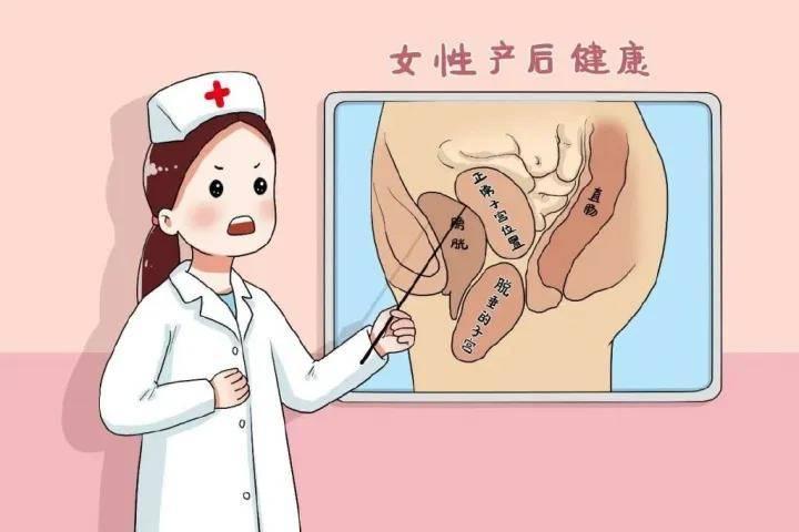 产后修复与产后瑜伽,哪个更适合你?,产后修复与产后瑜伽,哪个更适合产后恢复?