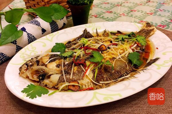 鱼的做法大全,烹饪美味佳肴的艺术,鱼的做法大全,烹饪艺术中的美味佳肴制作