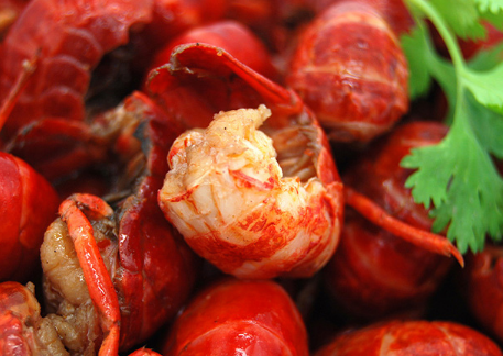 家常美味大龙虾,三种令人垂涎欲滴的做法,家常美味大龙虾,三种诱人做法大揭秘