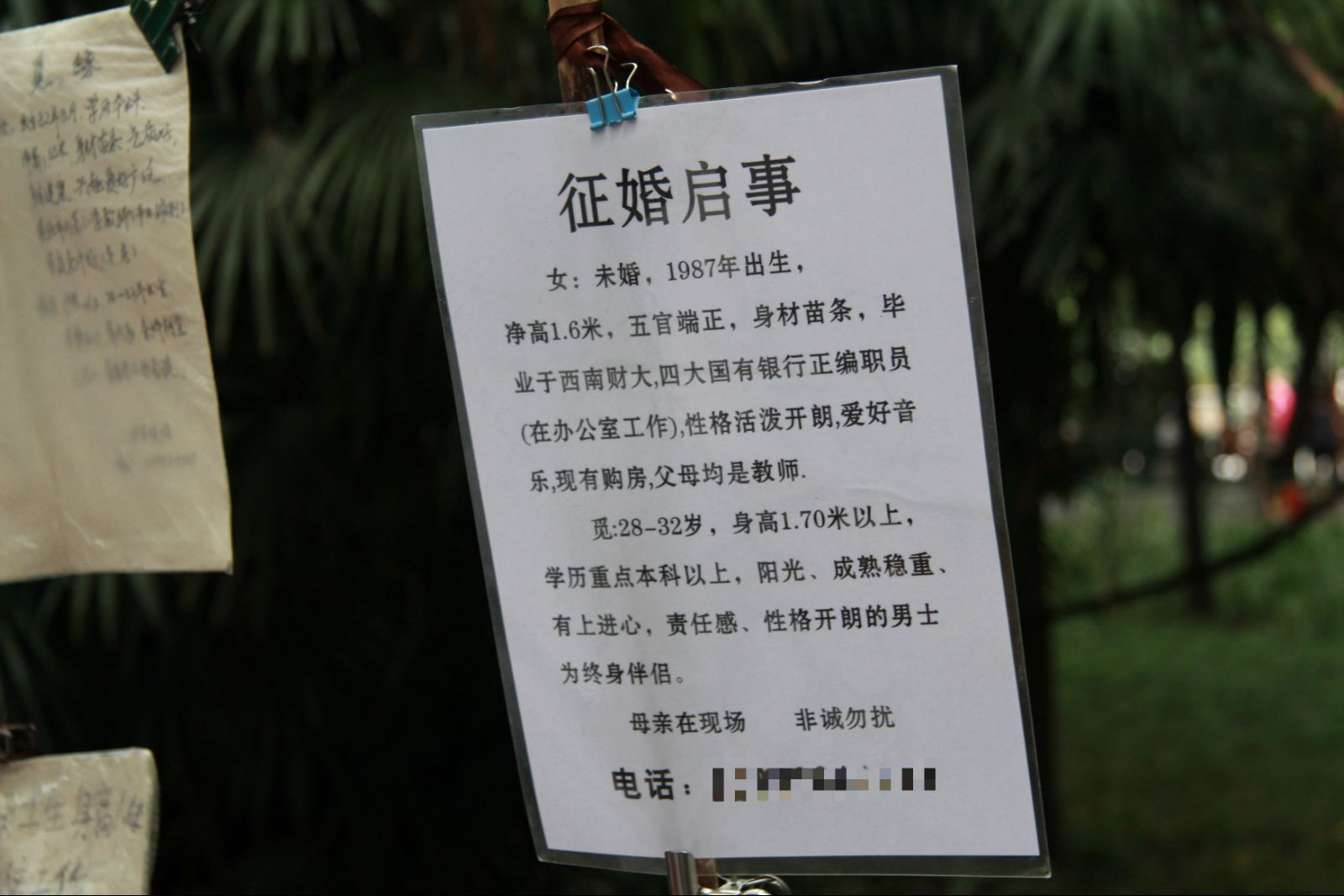 再婚网征婚启事,寻找生命中的另一半,再婚征婚启事,寻找生命中的另一半伴侣