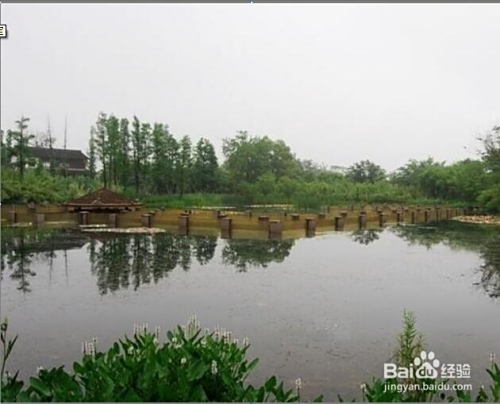 杭州西溪湿地旅游攻略,杭州西溪湿地深度游玩攻略