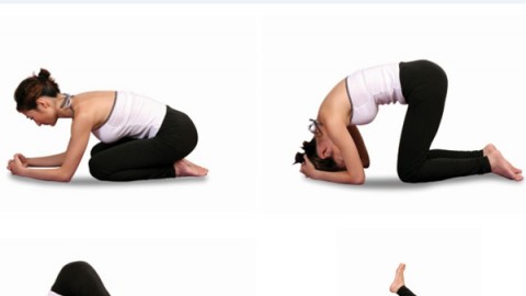 瑜伽视频教程推荐,引领你走进瑜伽世界的优质指南,优质瑜伽视频教程推荐,引领你走进瑜伽世界的入门指南