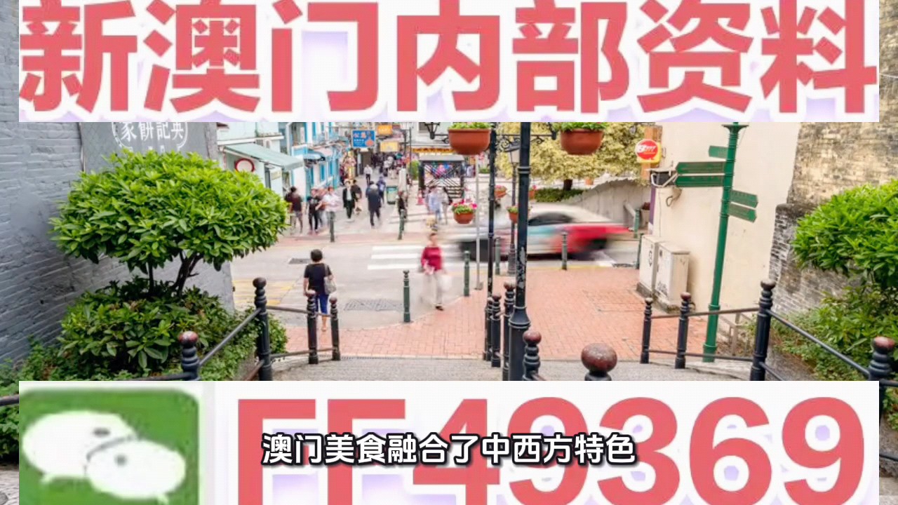 新澳门资料大全正版资料2025年免费下载,全面解析与深度探索,澳门正版资料解析与深度探索,新澳门资料大全 2025年免费下载版