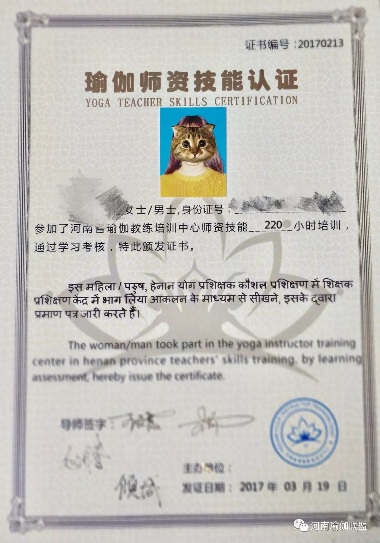 瑜伽教练培训机构证书的重要性及其价值,瑜伽教练培训机构证书的重要性与价值的探讨