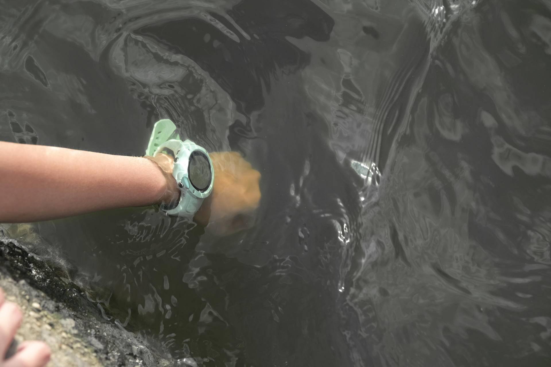 新手入门游泳教学视频,掌握基础,畅游水上世界,新手游泳入门教程,基础技巧助你畅游水上世界