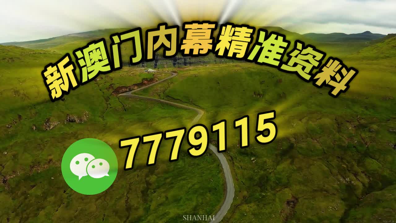 澳门三肖三码必开一码,探索背后的神秘与真相,澳门三肖三码必开一码背后的神秘真相探索