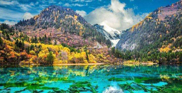 九寨沟门票对老年人有优惠吗?——探寻旅游优惠政策与人文关怀的交融,九寨沟门票对老年人有优惠吗?——探究旅游优惠政策中的老年人文关怀