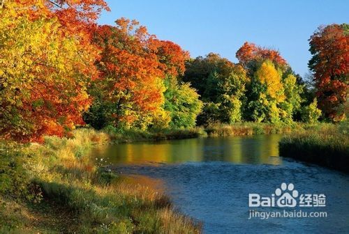 九寨沟门票对老年人有优惠吗?——探寻旅游优惠政策与人文关怀的交融,九寨沟门票对老年人有优惠吗?——探究旅游优惠政策中的老年人文关怀