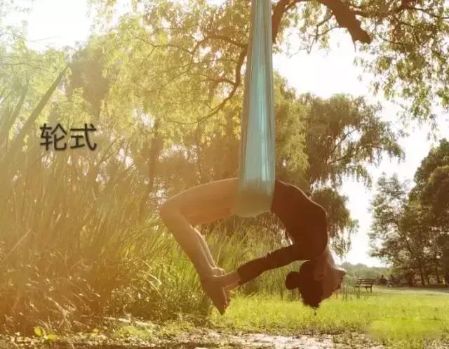 提高性能为目标的瑜伽动作研究,瑜伽动作研究,以提升性能为核心目标