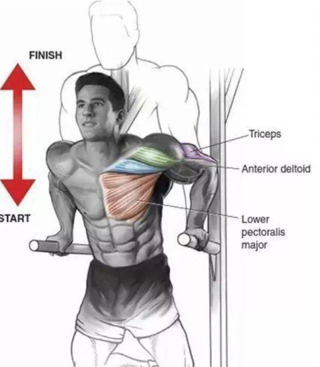 塑造完美身材，锻炼胸肌和腹肌的有效方法，塑造完美身材，锻炼胸肌与腹肌的高效方法