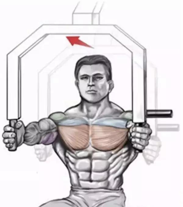 如何让胸肌快速增大,如何快速增大胸肌?