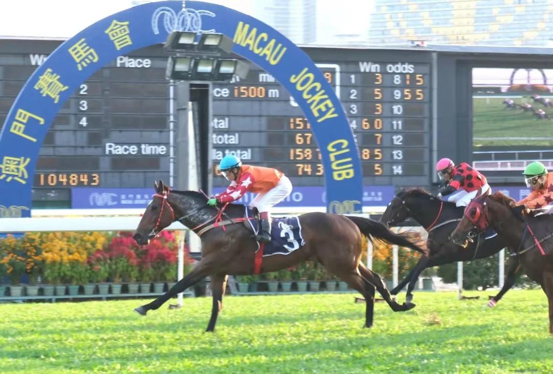 澳门马会传真——探索澳门赛马文化的魅力,澳门赛马文化魅力探索,马会传真揭秘澳门赛马风采