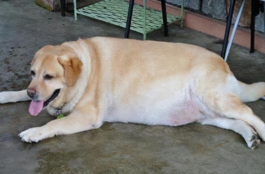 最快减肥效果的运动方式,探索最有效的减肥运动之道,探索最有效的减肥运动方式,实现快速瘦身目标