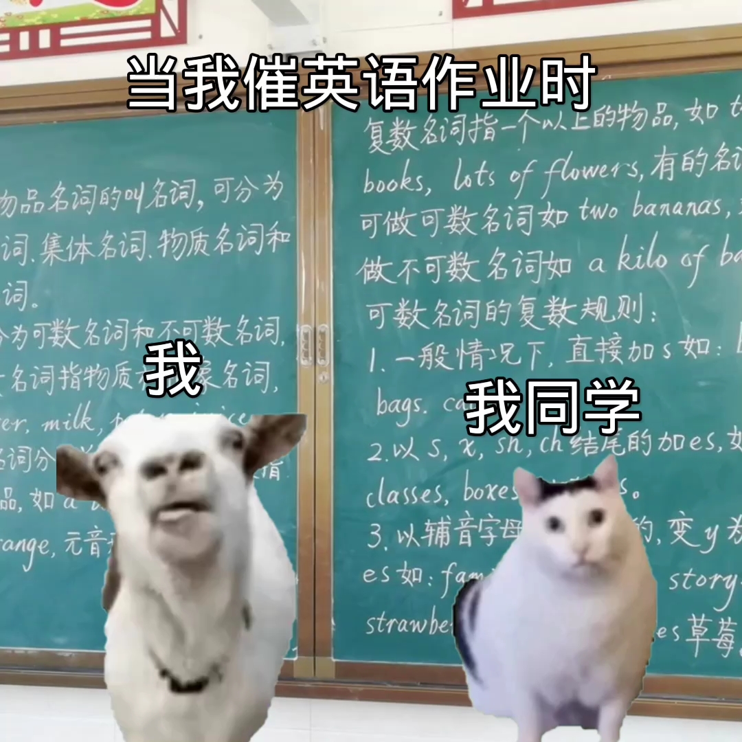 英语课代表的小兔兔与我们的故事,英语课代表的小兔兔与我们之间的故事