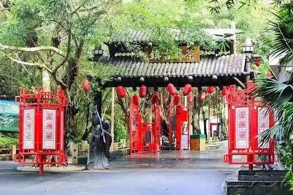 东部华侨城门票包括哪些体验?一篇文章带你了解,东部华侨城门票涵盖的多元体验解析,一篇文章带你深入了解