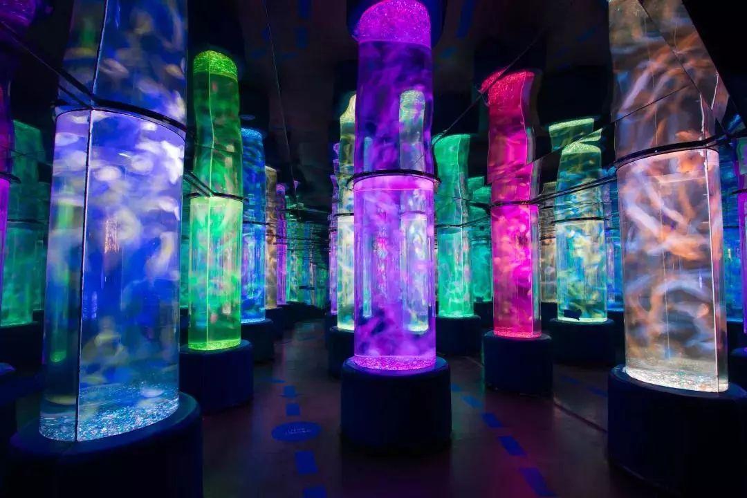 东部华侨城门票包括哪些体验?一篇文章带你了解,东部华侨城门票涵盖的多元体验解析,一篇文章带你深入了解