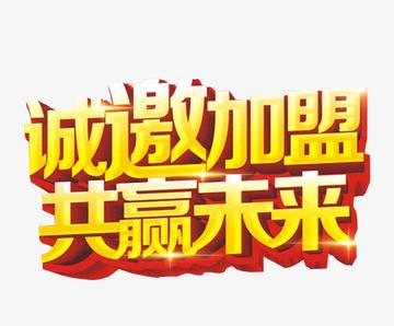 加盟,共创商业新纪元的关键力量,加盟,共创商业新纪元的核心动力