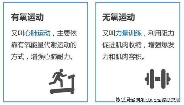 无氧运动的特点及其重要性，无氧运动的特点与重要性解析