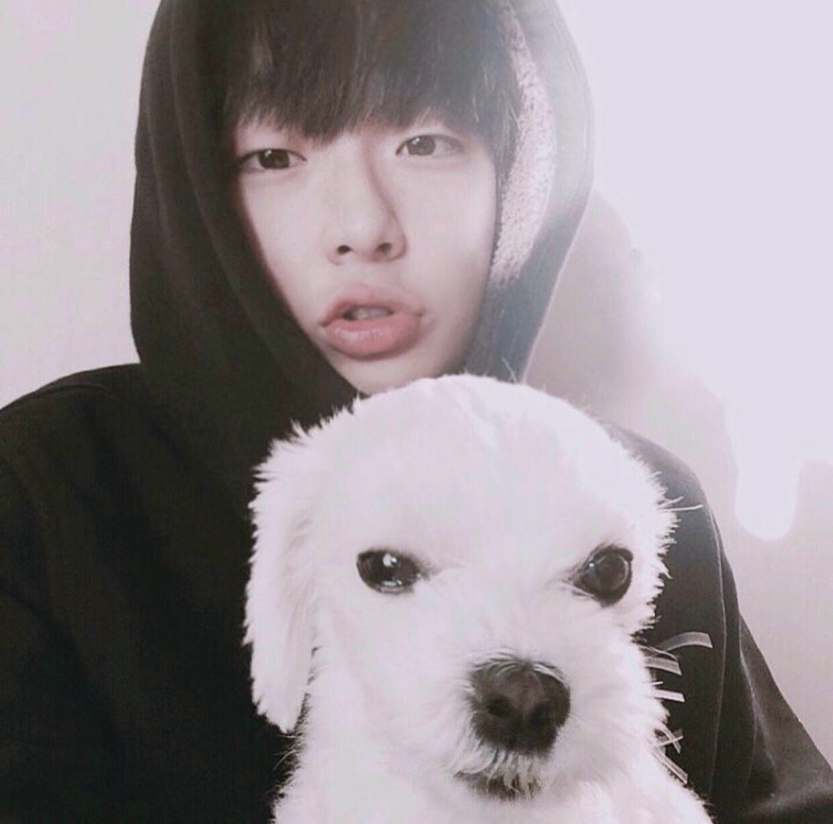 韩国男生头像图片，时尚潮流与个人风格的展现，韩国男生头像图片，时尚潮流与个人魅力的展现风采