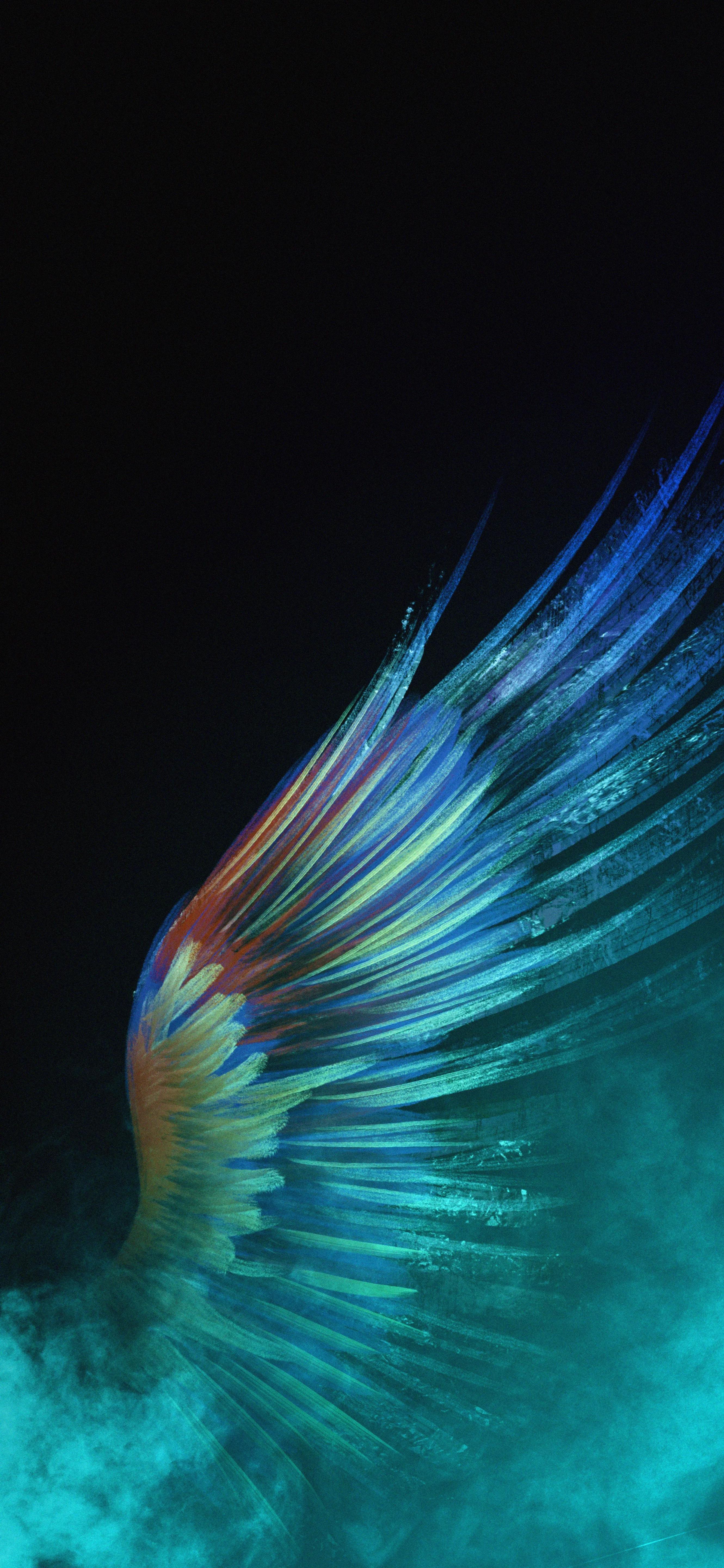 天使的翅膀,天使羽翼,探索神秘翅膀的故事