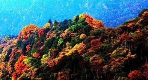 重庆金佛山最佳旅游月份指南，重庆金佛山最佳旅游月份攻略指南