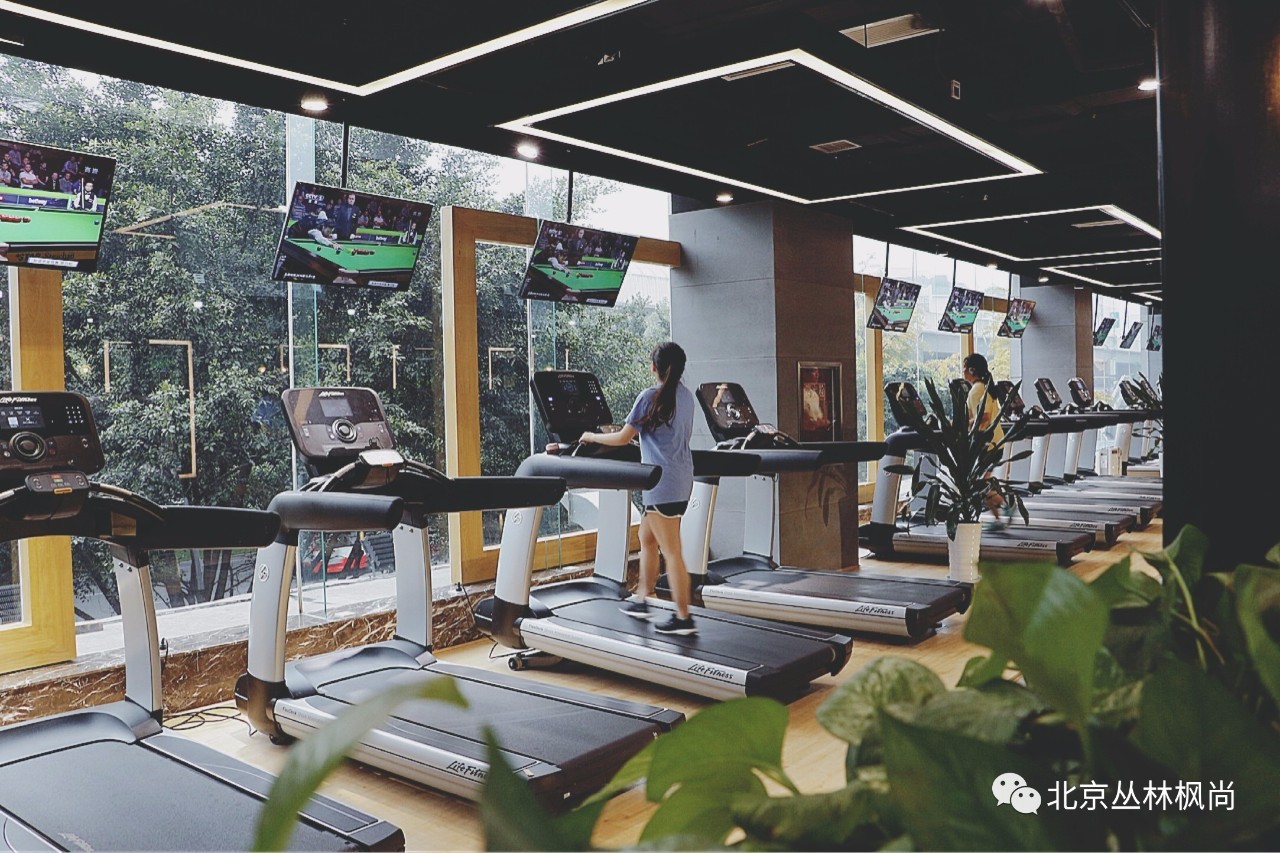 现代健身房设计理念,打造舒适、科技与个性化的运动空间,现代健身房设计理念,打造舒适、科技与个性化的运动体验空间