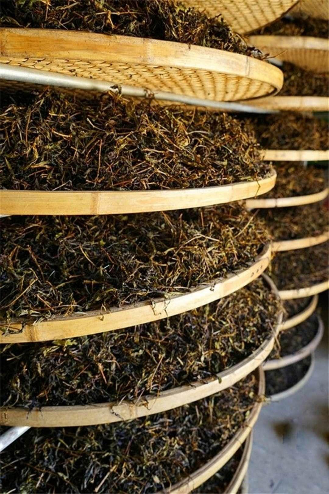 大叔你好坏，大叔摇起来——一首充满魅力的歌曲，大叔魅力尽显，一首独特的大叔摇起来歌曲