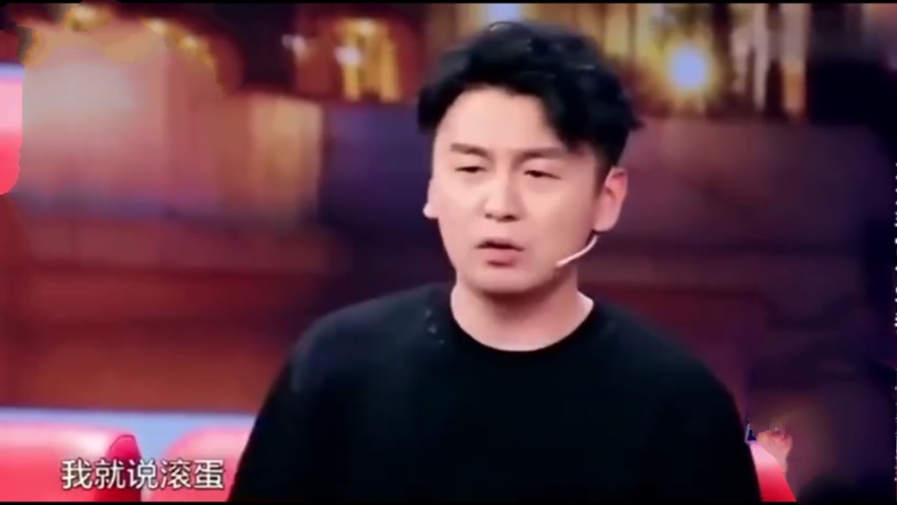 雷佳音老婆翟熙菲简历,一位低调而引人注目的女性,雷佳音妻子翟熙菲简历,低调中的亮眼风采