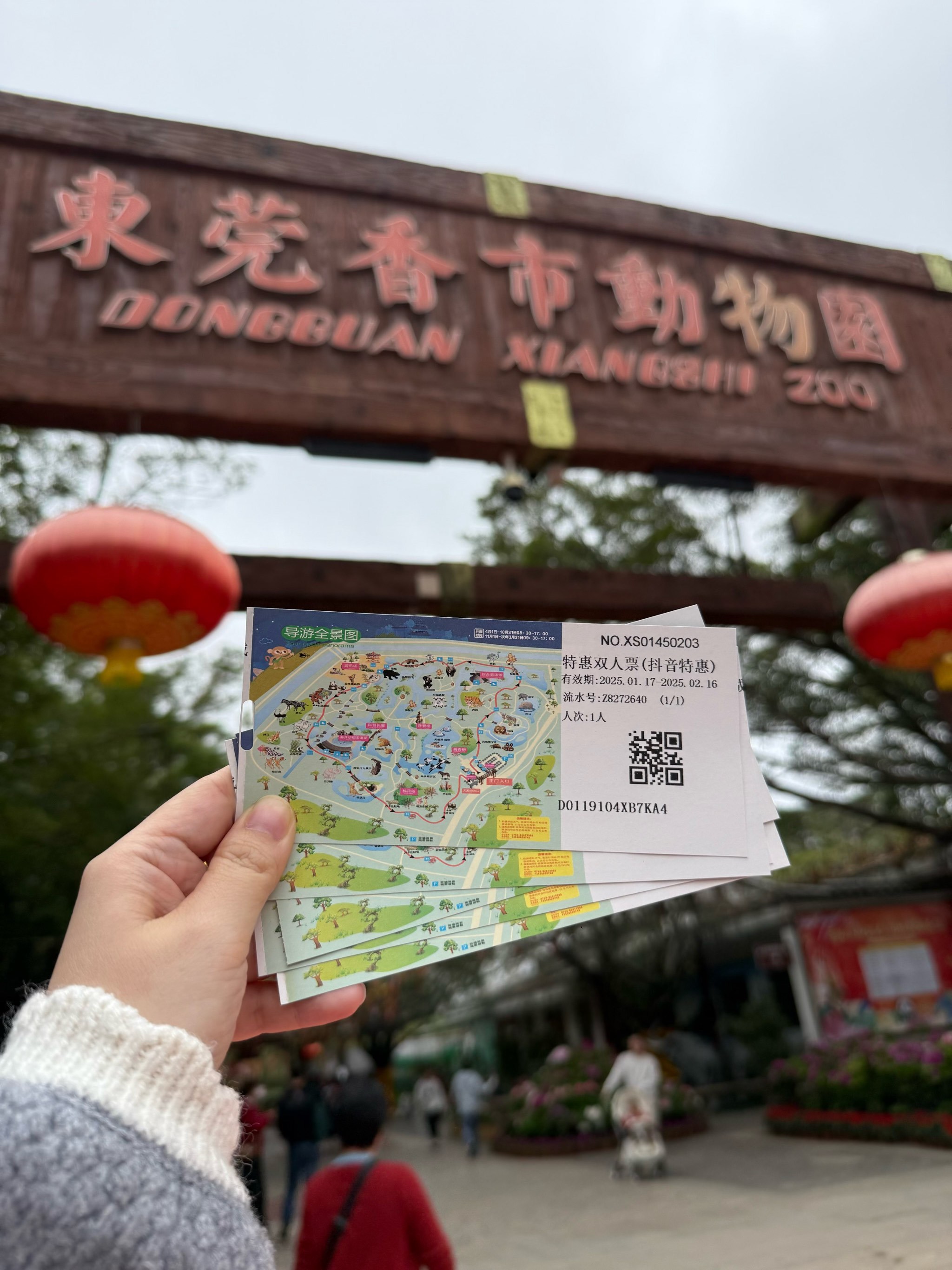 揭秘东莞香市动物园门票价格及更多信息,东莞香市动物园门票价格揭秘及更多信息详解