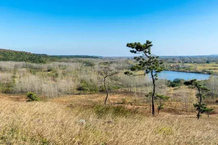 芬兰十大著名景点,探索北欧之魅的绝佳去处,芬兰十大著名景点,北欧魅力的绝佳探索之地