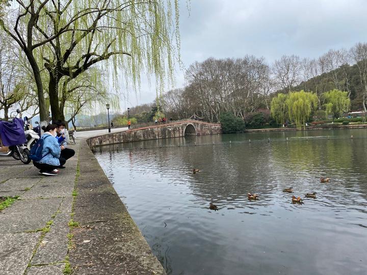 杭州免费旅游景点有哪些景点,杭州免费旅游景点大揭秘,探索城市中的免费美景
