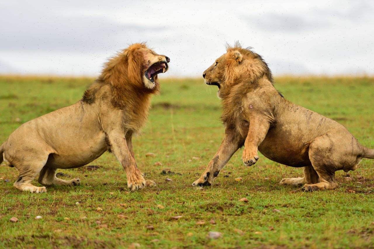 单身与相亲，群名的背后故事，单身与相亲，群名的背后故事探索