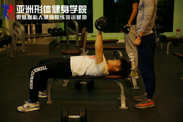 健身房有必要请私人教练吗?深度探讨个性化健身之路,个性化健身之路,健身房是否必须请私人教练的深度探讨