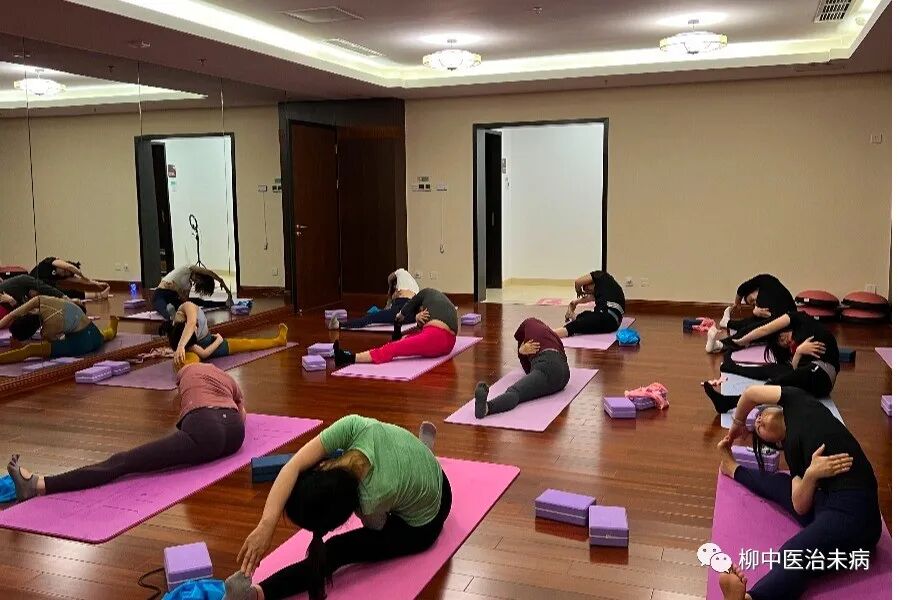 古法经络瑜伽视频下载,传承与现代的融合,古法经络瑜伽,传承与现代融合的视频教学