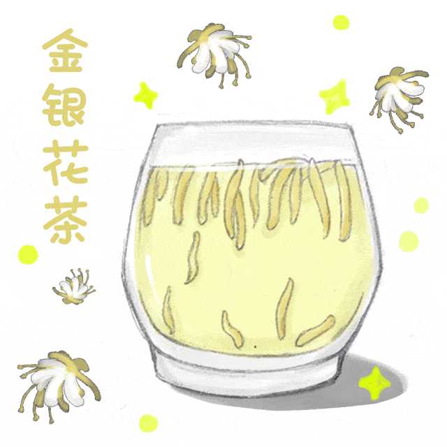 菊内留香与金银花的魅力，菊内留香与金银花，魅力绽放的双重韵味