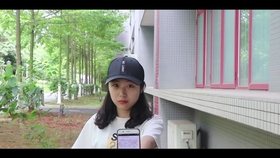 小日子的在线观看免费，探索现代生活的美好与共享的力量，小日子在线免费观看，探索现代生活的美好与共享之力