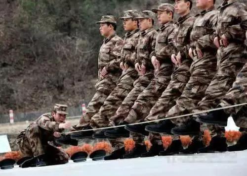 全国征兵网报名查询官网，探索与解析，全国征兵网报名查询官网深度解析