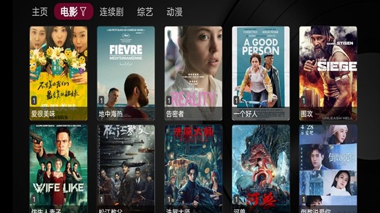 永久免费的电视软件，开启您的视听新纪元，永久免费电视软件，开启视听新纪元的大门