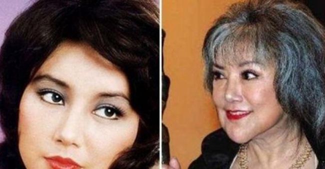 原因与教训探究