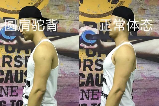 塑造完美身材，下胸肌锻炼攻略，下胸肌锻炼指南，塑造完美身材的秘诀