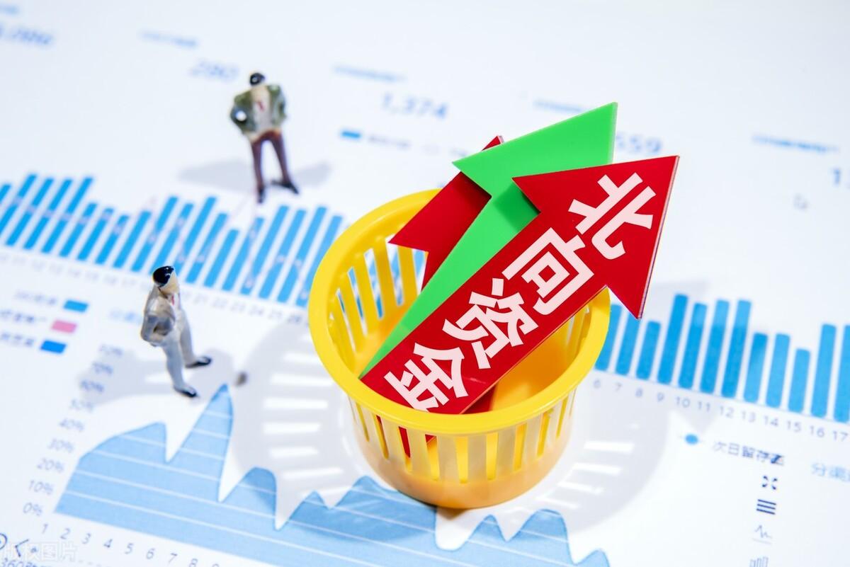 海德股份行情深度解析,探寻代码000567背后的潜力与价值,海德股份(代码000567)行情深度解析,探寻潜力与价值