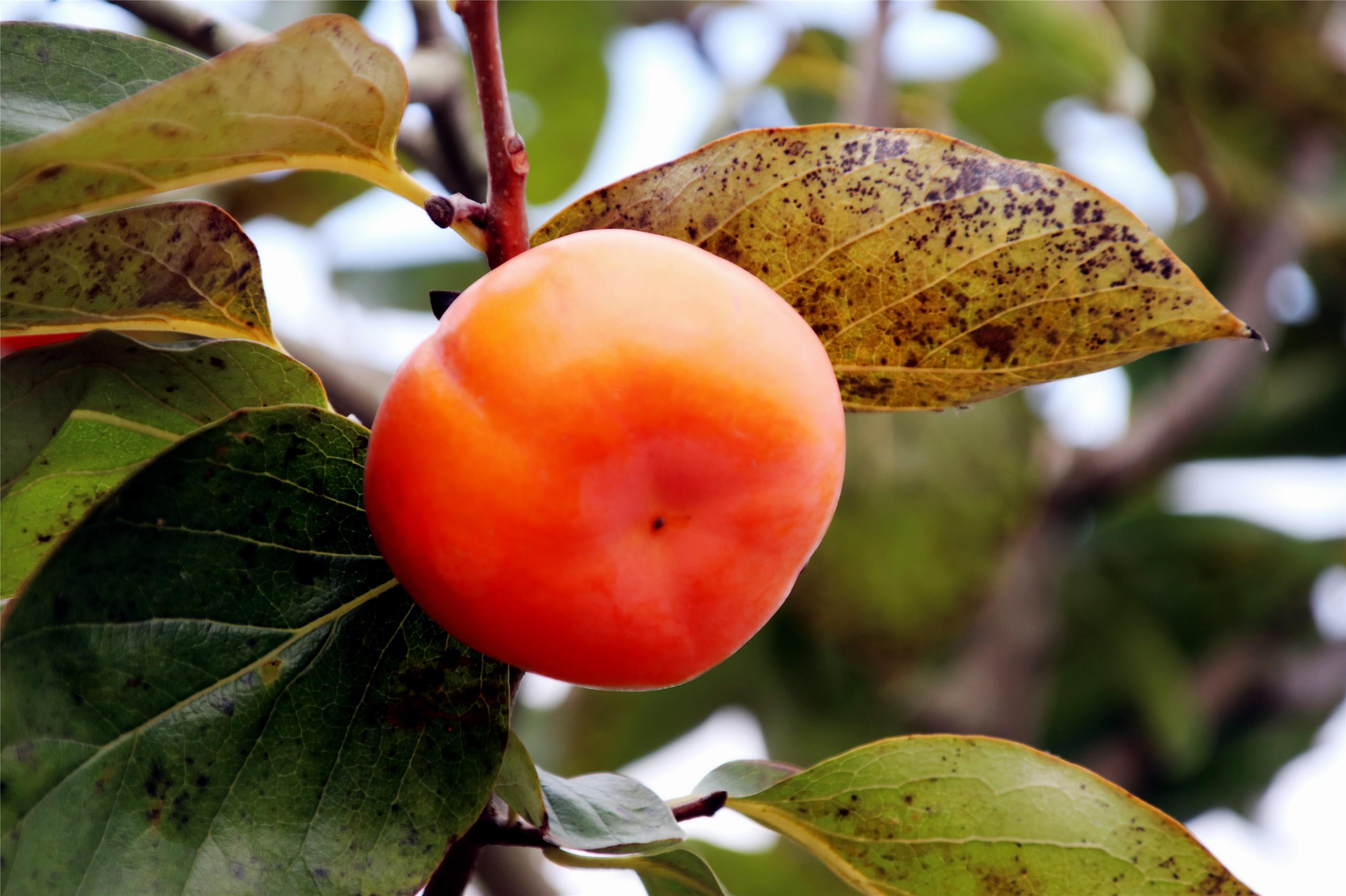 让爱留在心底,电视剧的魅力与免费观看的美好,电视剧的魅力,让爱留在心底与免费观看的美好体验