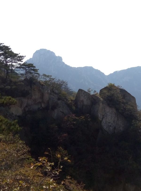 蒙山旅游攻略,一日游的完美体验,蒙山一日游的完美攻略体验